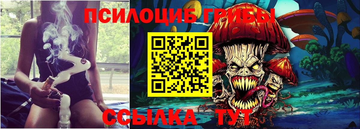 Кингисепп  Псилоцибиновые грибы Magic Shrooms  Вход с VPN 